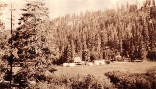 Distant view of Petersen's first cabin w/ tents, up past the old store.