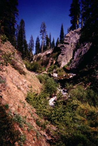 The "Old Man" in upper Philbrook Creek